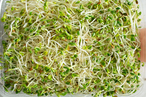 A top down view of a sprouts, as a background.