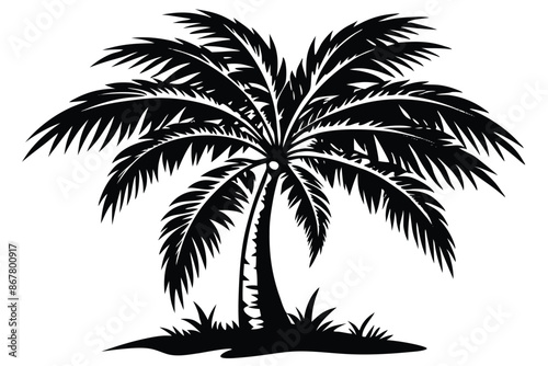 vector set of tropical palm tree silhouettes