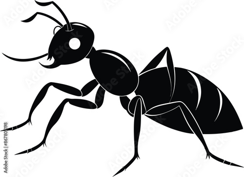 ant