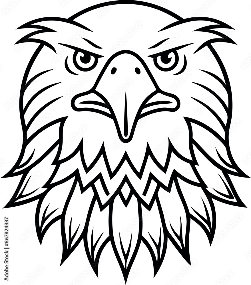 Obraz premium The eagle has a fierce look on its face