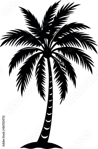A black and white drawing of a palm tree