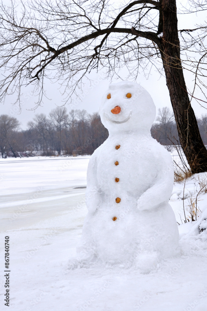 Obraz premium Smiling Snowman with carrot nose in winter nature scenery