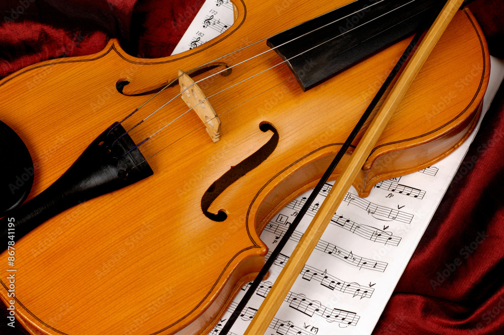 Fototapeta premium Violin Still Life