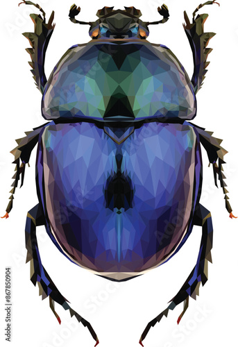 Geometric Beetle