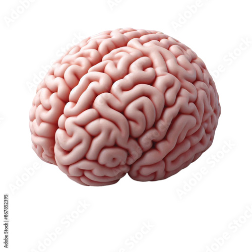 Realistic brain vector