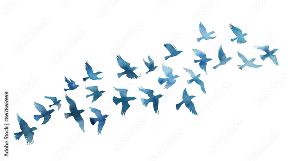 2d flying birds on transparent background 2d flying birds on transparent background