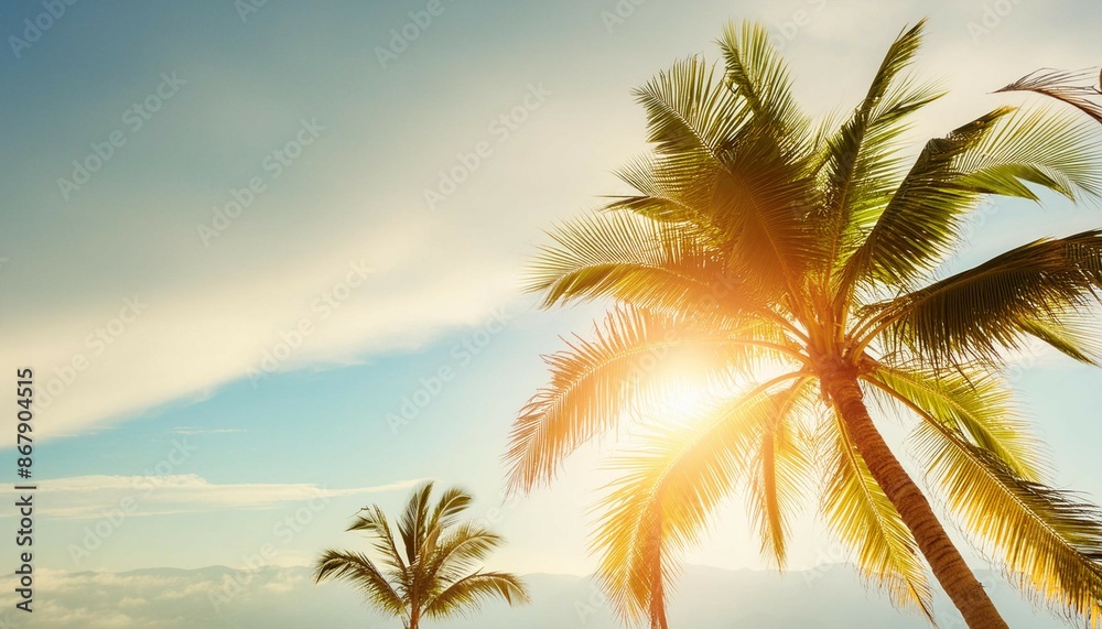 Copy space of tropical palm tree with sun light on sky background. Copy space of tropical palm tree with sun light on sky background.