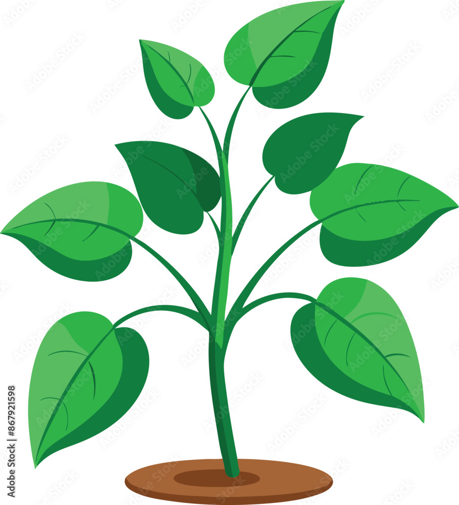 Fototapeta premium Illustration of a fresh green plant with multiple leaves growing from the soil on white background