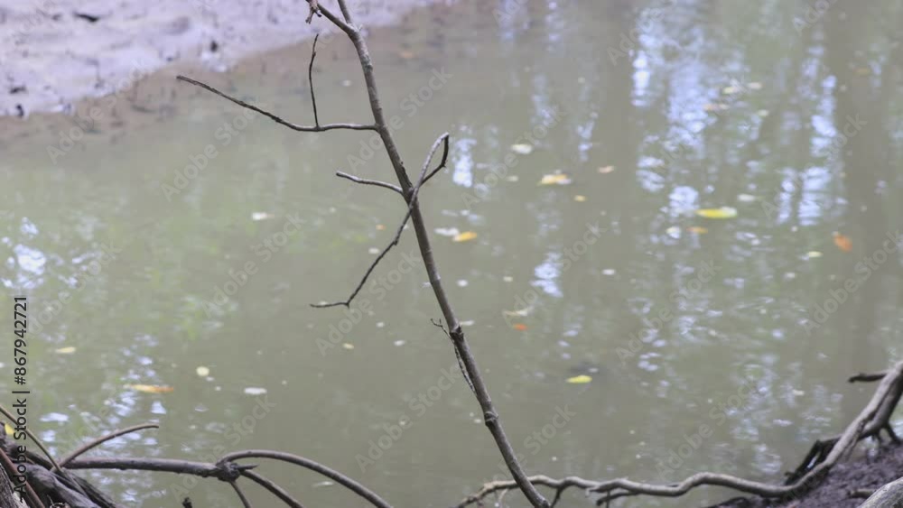 High angle video background with mountain scenery The river and the beautiful sunshine blurred onto the water surface in a golden light, the beauty of nature during the trip.