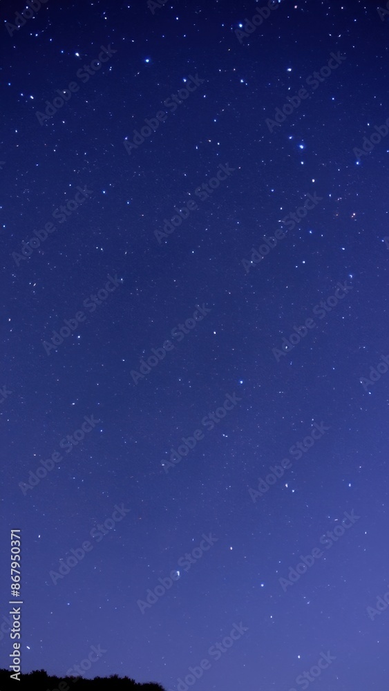 Fototapeta premium starry night sky