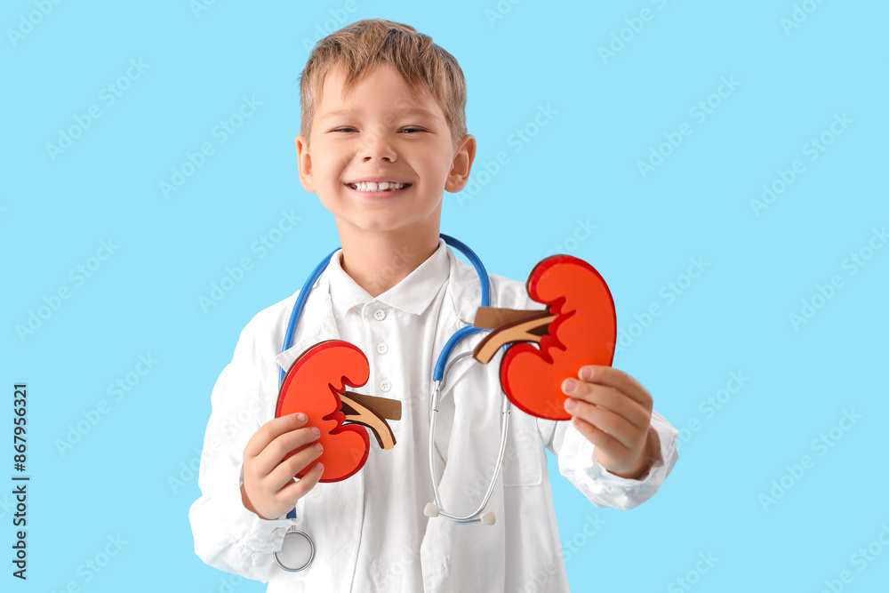Little doctor with paper kidneys on blue background Little doctor with paper kidneys on blue background
