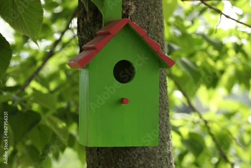 Green bird house on tree trunk outdoors © New Africa