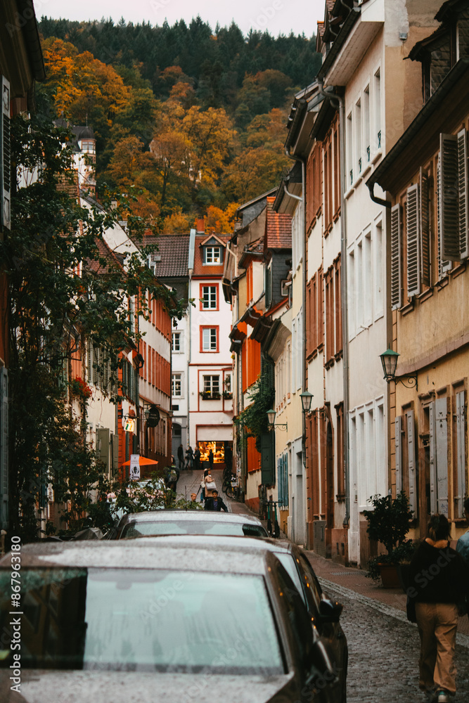 Fototapeta premium Heidelbergs charmante Altstadtgasse im Herbst
