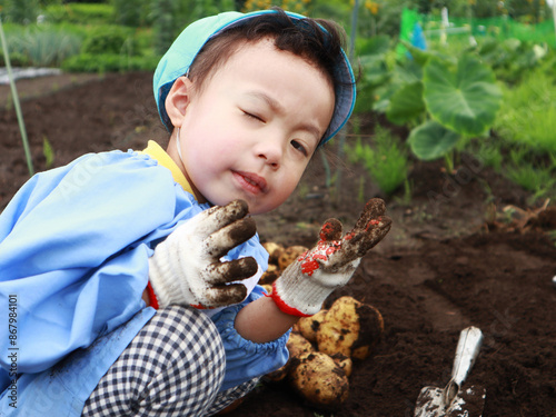芋掘りをする子供