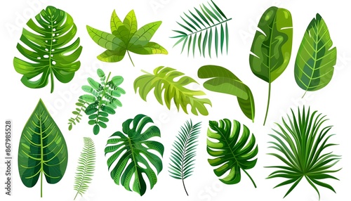 Set of tropical leaves. Different green leaf collection photo
