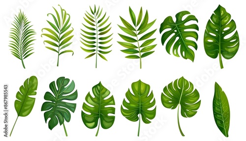 Set of tropical leaves. Different green leaf collection