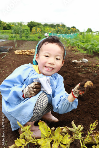 芋掘りをする子供