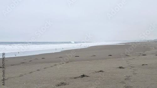 View of Cahuil beach photo