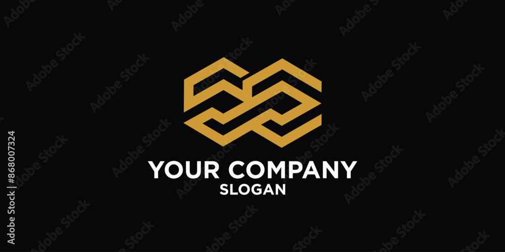 Fototapeta premium company logo with a modern concept.vector