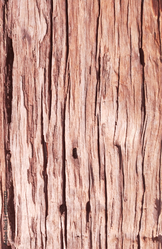 Old wooden texture with beautiful natural patterns in retro concept Old wooden texture with beautiful natural patterns in retro concept