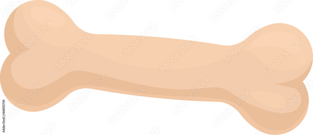 Cartoon bone is shown in a white background Cartoon bone is shown in a white background