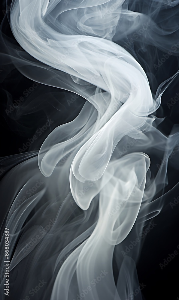 Fototapeta premium Abstract white smoke on black background