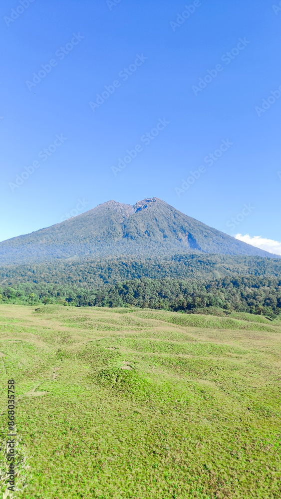Fototapeta premium view of Mount Rinjani from Kondo Hill and savanna propok at sembalun village lombok, indonesia. the landscape is for hiking and outdoor lifestyle concept. beautiful natural scenery