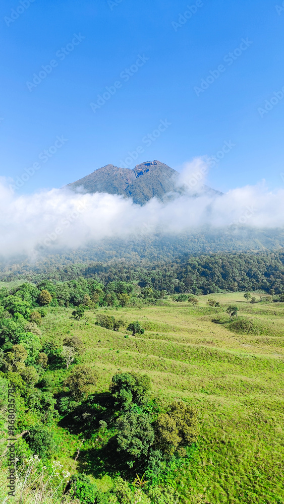 Fototapeta premium view of Mount Rinjani from Kondo Hill and savanna propok at sembalun village lombok, indonesia. the landscape is for hiking and outdoor lifestyle concept. beautiful natural scenery