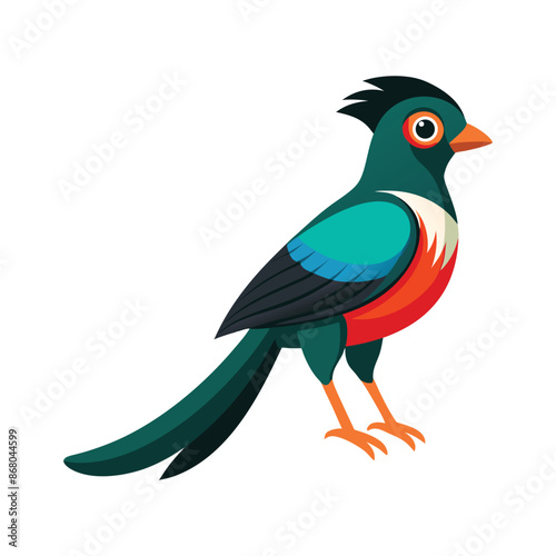 illustration of a Trogon animal