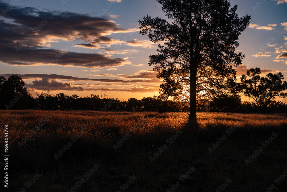 Sunset over grassland in the outback Sunset over grassland in the outback