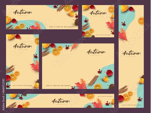 Autumn web banner background template with autumn leaves season decorate and Elements