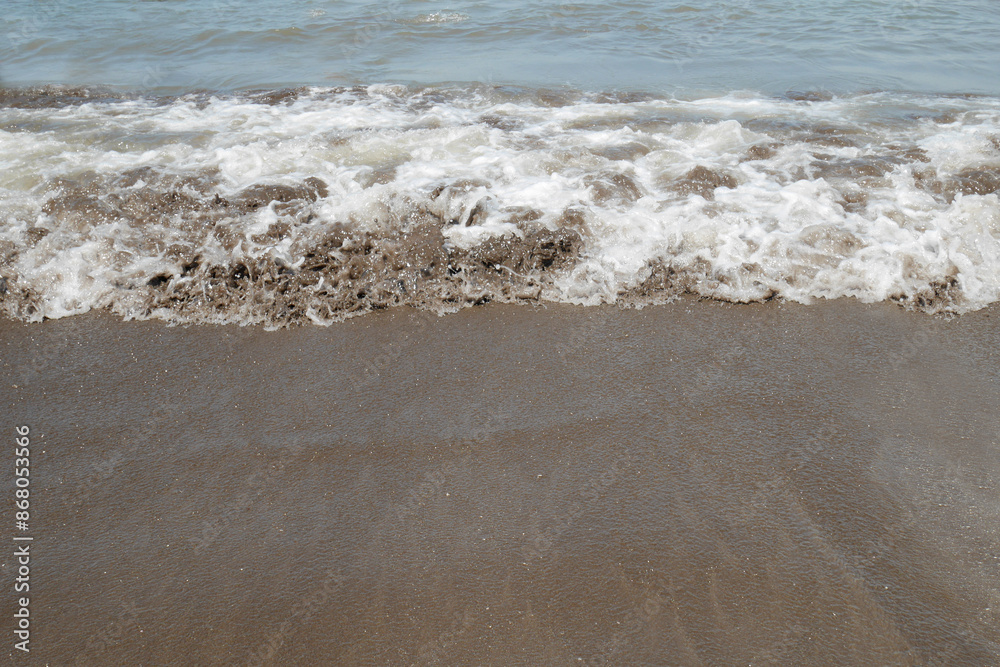 The coastline, boundary between sand and wave foam.