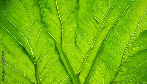 green leaf background