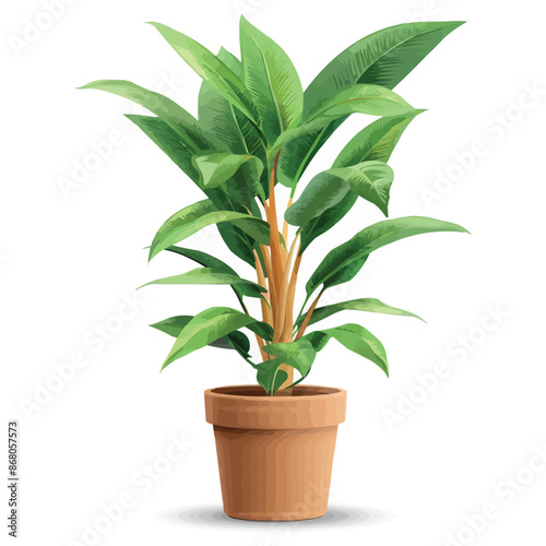 vector houseplant in brown flowerpot on white background
