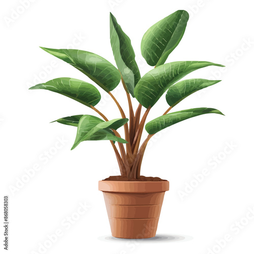 vector houseplant in brown flowerpot on white background
