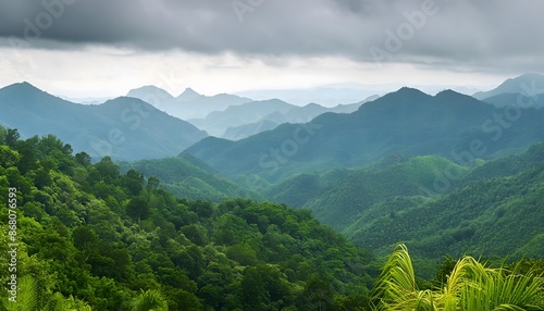 Aerial View of dense jungle valley covered in fog on an overcast day in Halmahera, Indonesia. A lush green forest with a thick fog covering the trees