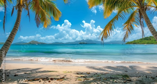 Two Palm Trees Framing a Tropical Beach Scene on a Sunny Day