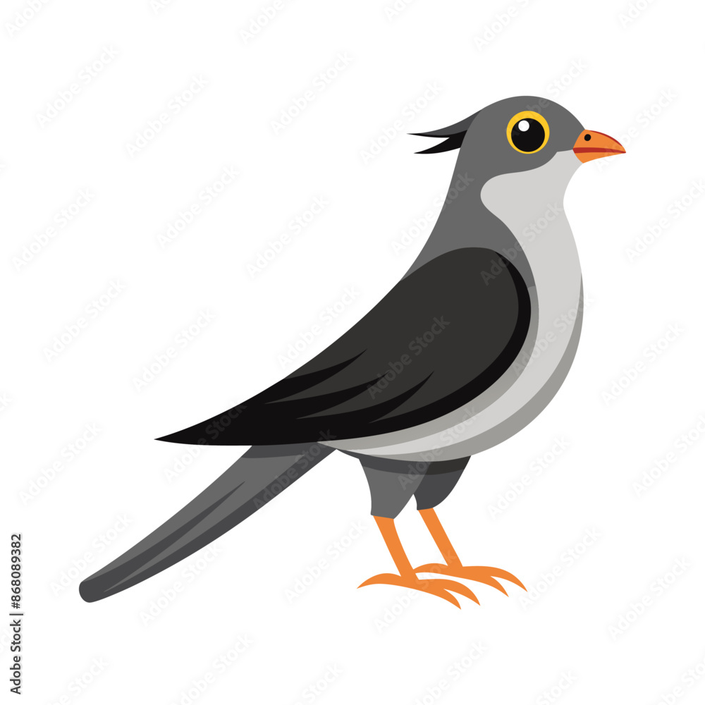 Εκτύπωση καμβά illustration of a Cuckoo animal on a white