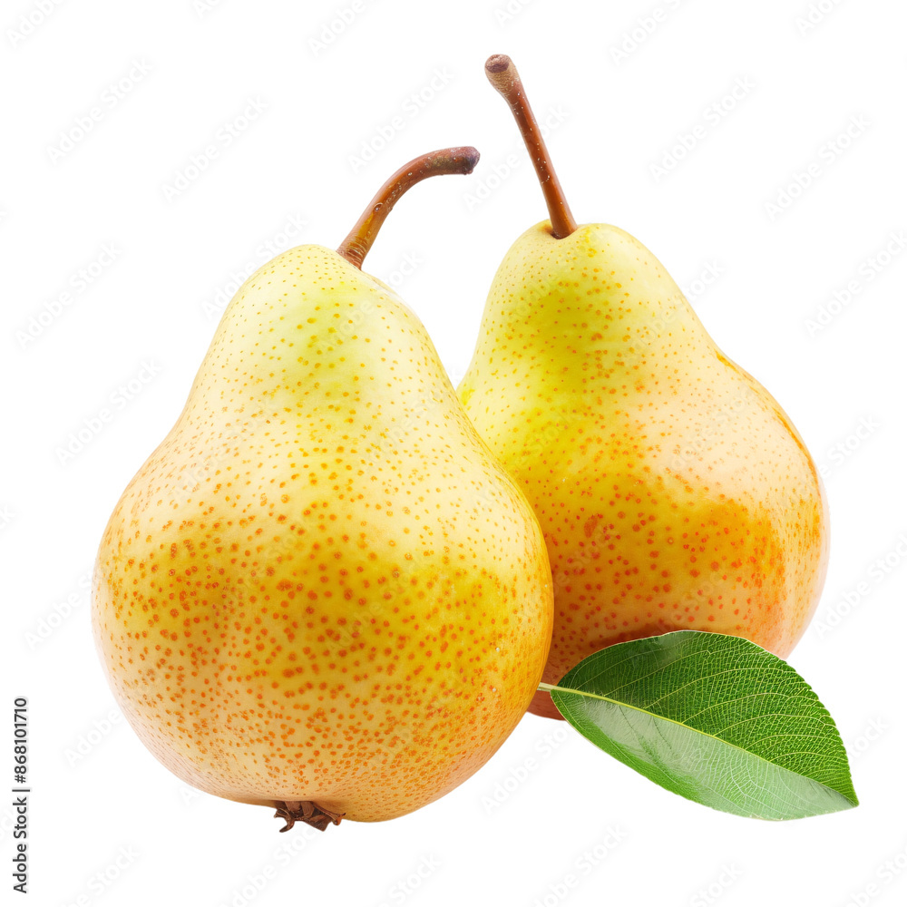 Yellow pears isolated on white Yellow pears isolated on white