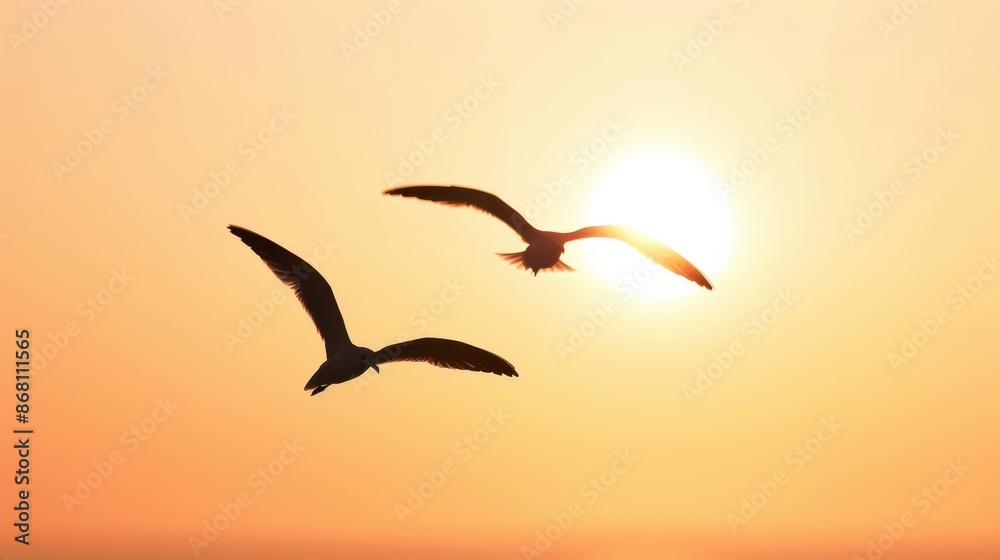 Naklejka premium Seagulls flying in the sunset sky, showcasing freedom and nature's beauty