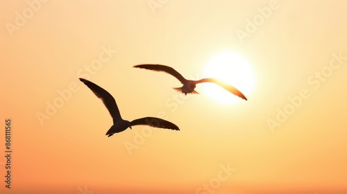 Seagulls flying in the sunset sky, showcasing freedom and nature's beauty © Daunhijauxx