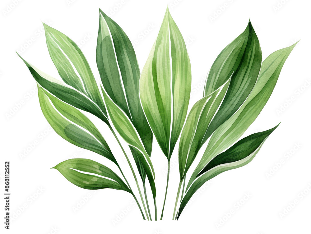 Watercolor illustration of a lush green plant with slender leaves, perfect for natural decor and botanical designs. Watercolor illustration of a lush green plant with slender leaves, perfect for natural decor and botanical designs.