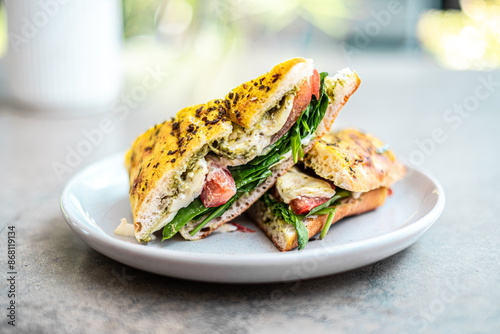 Tableau sur toile Grilled gourmet mozzarella veggie pesto sandwich on a white plate