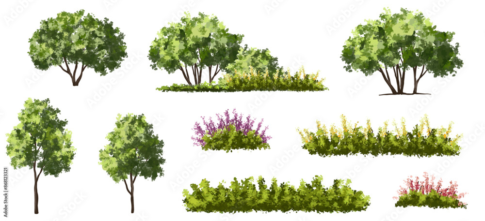 Fototapeta premium Vertor set of spring blossom tree,bloomimg plants side view for landscape elevation and section,eco environment concept design,watercolor illustration,colorful season