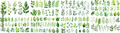 Green watercolor leaves on isolated background	
