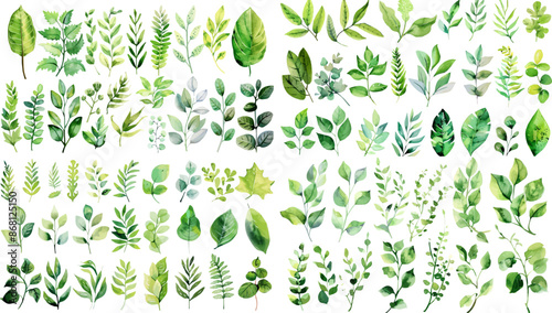 Green watercolor leaves on isolated background	