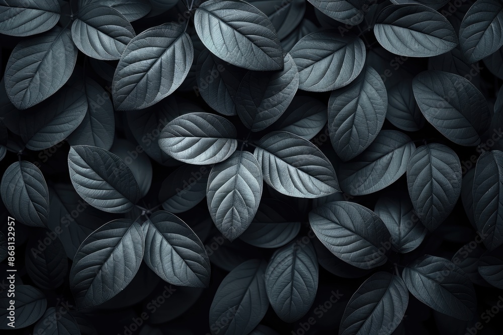 Plants and Leaves Plants and Leaves
