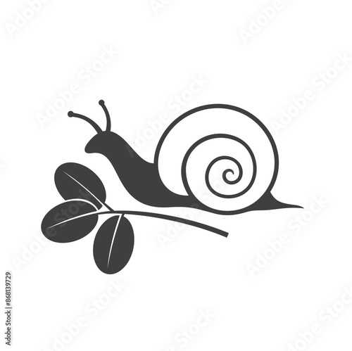illustration of snail, gastropod mollusks.