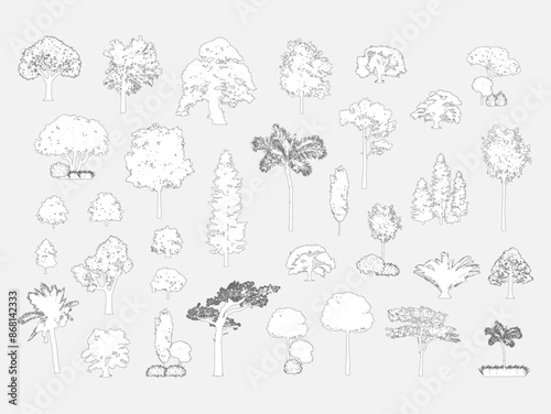 Big set of tree silhouette, Vector illustration in stroke fill in white. 