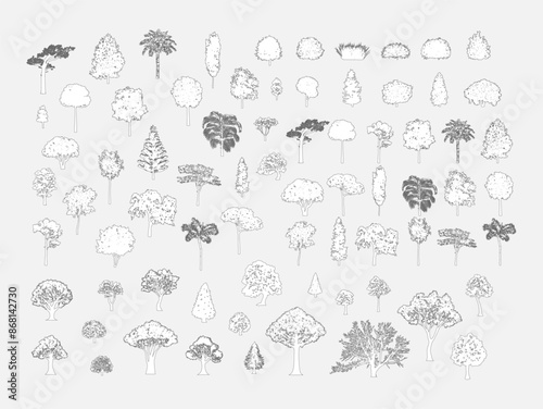 Big set of tree silhouette, Vector illustration in stroke fill in white. 